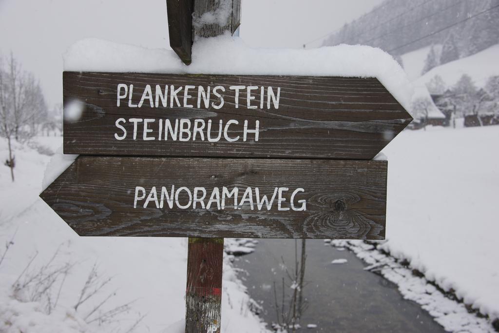 Chalet Gamsjaeger Gosau Quarto foto